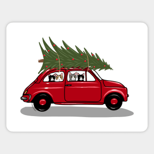 Bringing Home the Christmas Tree Red Magnet